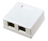 Digiwave CAT6 Dual Baseboard Jack