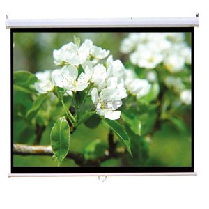 TygerClaw 84" Soft PVC Manual Projector Screen
