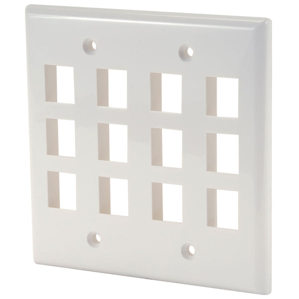 Digiwave Keystone Wall Plate (12 Slots)