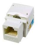 Digiwave Cat6 Keystone